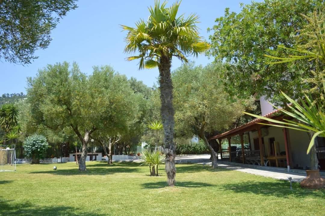 Delfino Hotel Mola Kalyva Exterior photo